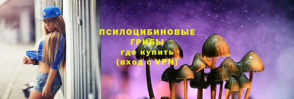 ECSTASY Майский