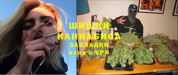 ECSTASY Майский
