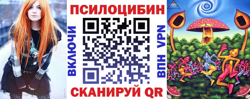 Купить  Моршанск  Галлюциногенные грибы Cubensis 